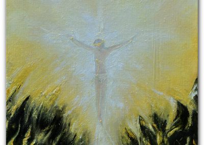 série L'Homme de Lumière