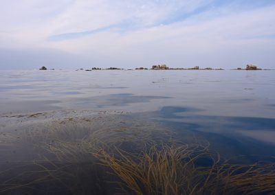 un chemin à parcourir