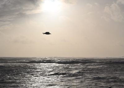 Dans la lumière, j'apparais