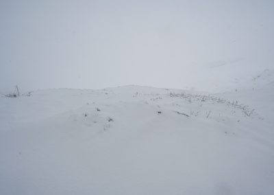 du blanc à s'y perdre