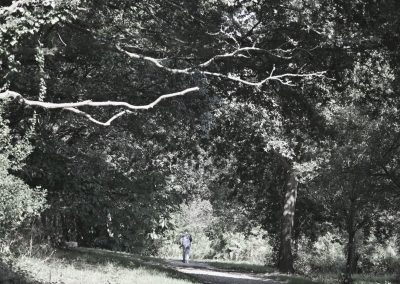 de lumière et d'ombres