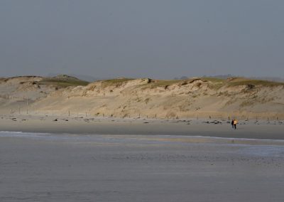 de gris et de lumière